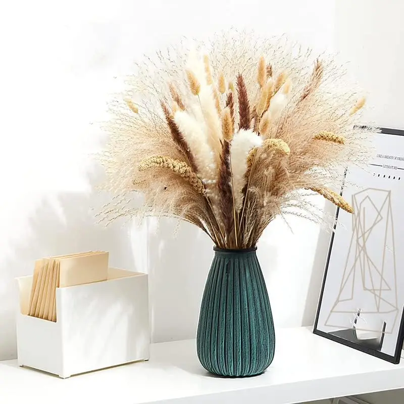 Natural Dried Pampas Grass Bouquet External for Girls Boho Bride Wedding Ideas Bed Room Decors Aesthetic Decoration
Natural Dried Pampas Grass Bouquet External for Girls Boho Bride Wedding Ideas Bed Room Decors Aesthetic Decoration
