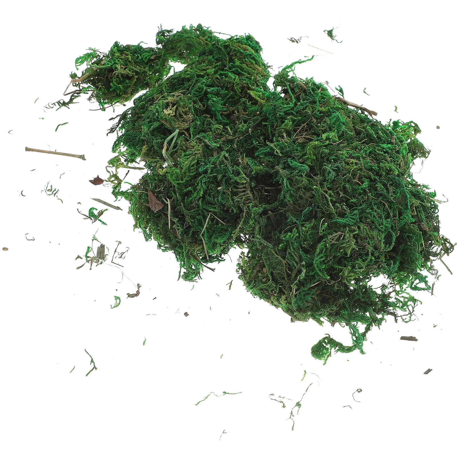 Mossartificial Fake Fauxgreen Lichen House Natural Indoor Dried Simulation Potted Craft Decorgrass Gardensheet Crafts Decorative
Mossartificial Fake Fauxgreen Lichen House Natural Indoor Dried Simulation Potted Craft Decorgrass Gardensheet Crafts Decorative