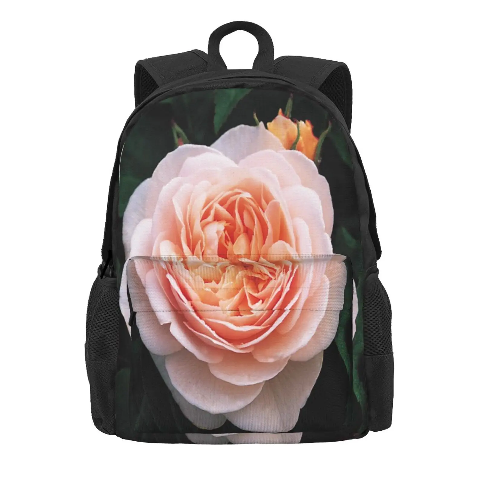 Rose 10 school bags Backpack For Laptop Bag Tote Bag Anime Plaid For School Handbags
Rose 10 school bags Backpack For Laptop Bag Tote Bag Anime Plaid For School Handbags