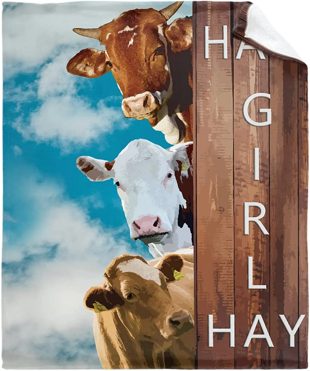 Hay Girl Hay Funny Cow Blankets for Couch Sofa Bed Flannel Fleece Throw Blanket Super Soft Warm Lightweight Cute Cow Gifts
Hay Girl Hay Funny Cow Blankets for Couch Sofa Bed Flannel Fleece Throw Blanket Super Soft Warm Lightweight Cute Cow Gifts