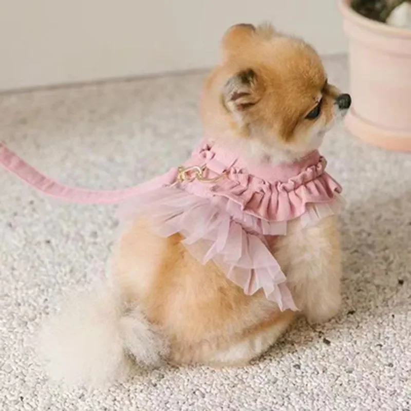 Вельветовая ткань, юбка-пачка, кружевная собака, тянущаяся жилетка для домашних животных, Бишон, шнауцер, прогулочная собака, нагрудный ремень, костюм для щенка
Вельветовая ткань, юбка-пачка, кружевная собака, тянущаяся жилетка для домашних животных, Бишон, шнауцер, прогулочная собака, нагрудный ремень, костюм для щенка