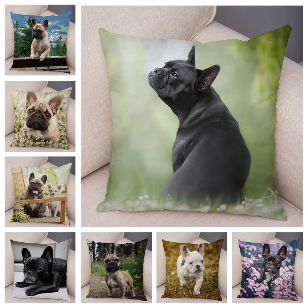 Cute Pet Mini French Bulldog Pillowcase Home Sofa Car Decoration Animal Dog Cushion Cover Printed Pillowcase 
Cute Pet Mini French Bulldog Pillowcase Home Sofa Car Decoration Animal Dog Cushion Cover Printed Pillowcase