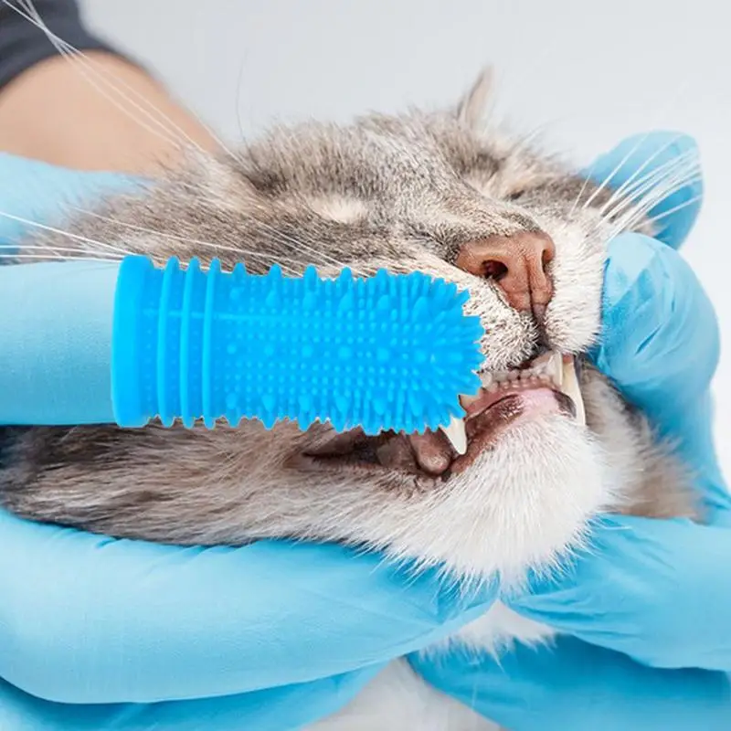 Finger Toothbrush for Dog Cat Super Soft Teeth Cleaning Toothbrush Finger Dogs Brushing Dog Super Soft Pet Finger Toothbrush
Finger Toothbrush for Dog Cat Super Soft Teeth Cleaning Toothbrush Finger Dogs Brushing Dog Super Soft Pet Finger Toothbrush