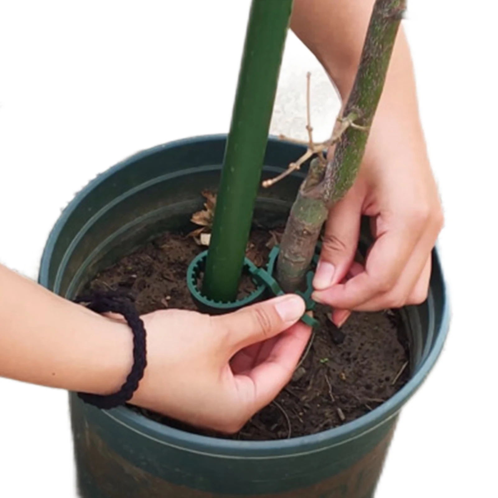 10Pcs Plant Ties Tree Stake Support Bands 10Pcs Plant Support Ties For Outdoor Plants Garden Shrub Reusable Interlock Straps
10Pcs Plant Ties Tree Stake Support Bands 10Pcs Plant Support Ties For Outdoor Plants Garden Shrub Reusable Interlock Straps
