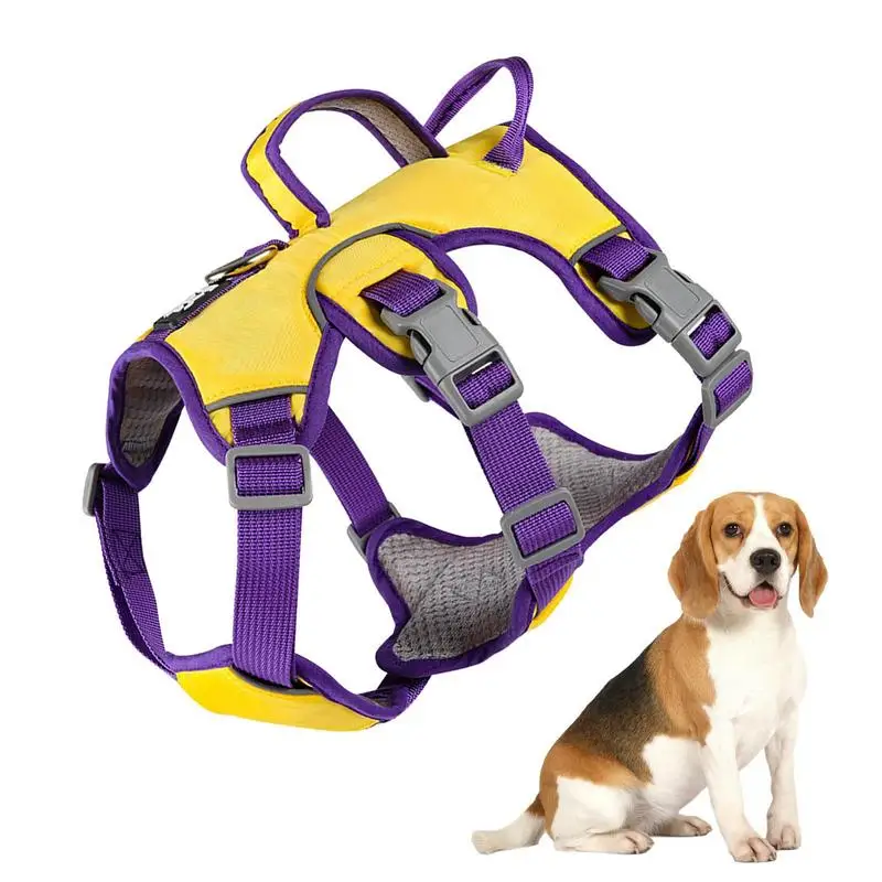 Dog Harness Medium Sized Dog Training Harness Reflective Vest Comfortable Padded Training Harness With Leash For Dogs
Dog Harness Medium Sized Dog Training Harness Reflective Vest Comfortable Padded Training Harness With Leash For Dogs