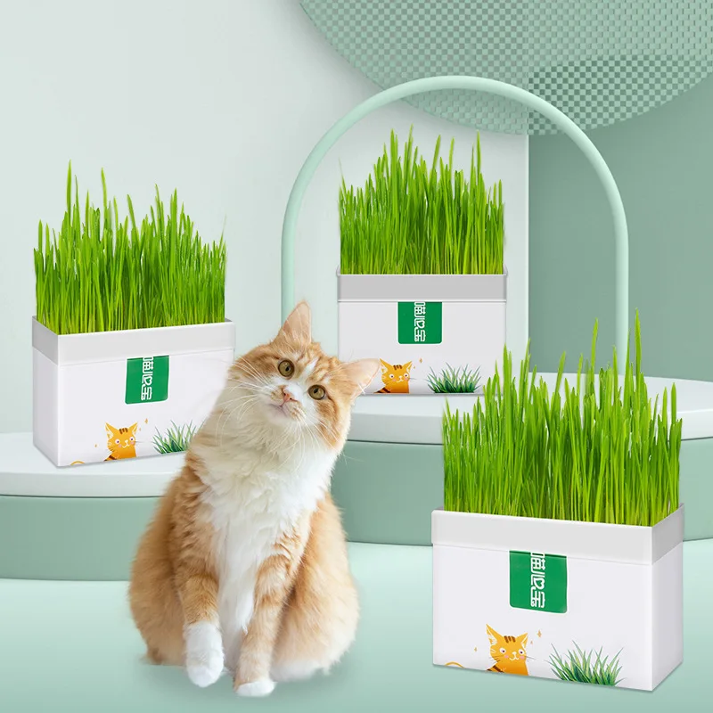 

Cat Grass Planting Box Growing Tray Starter Dish Greenhouse Hydroponics Plant Cat Grass Germination Nursery Pot Grow Box