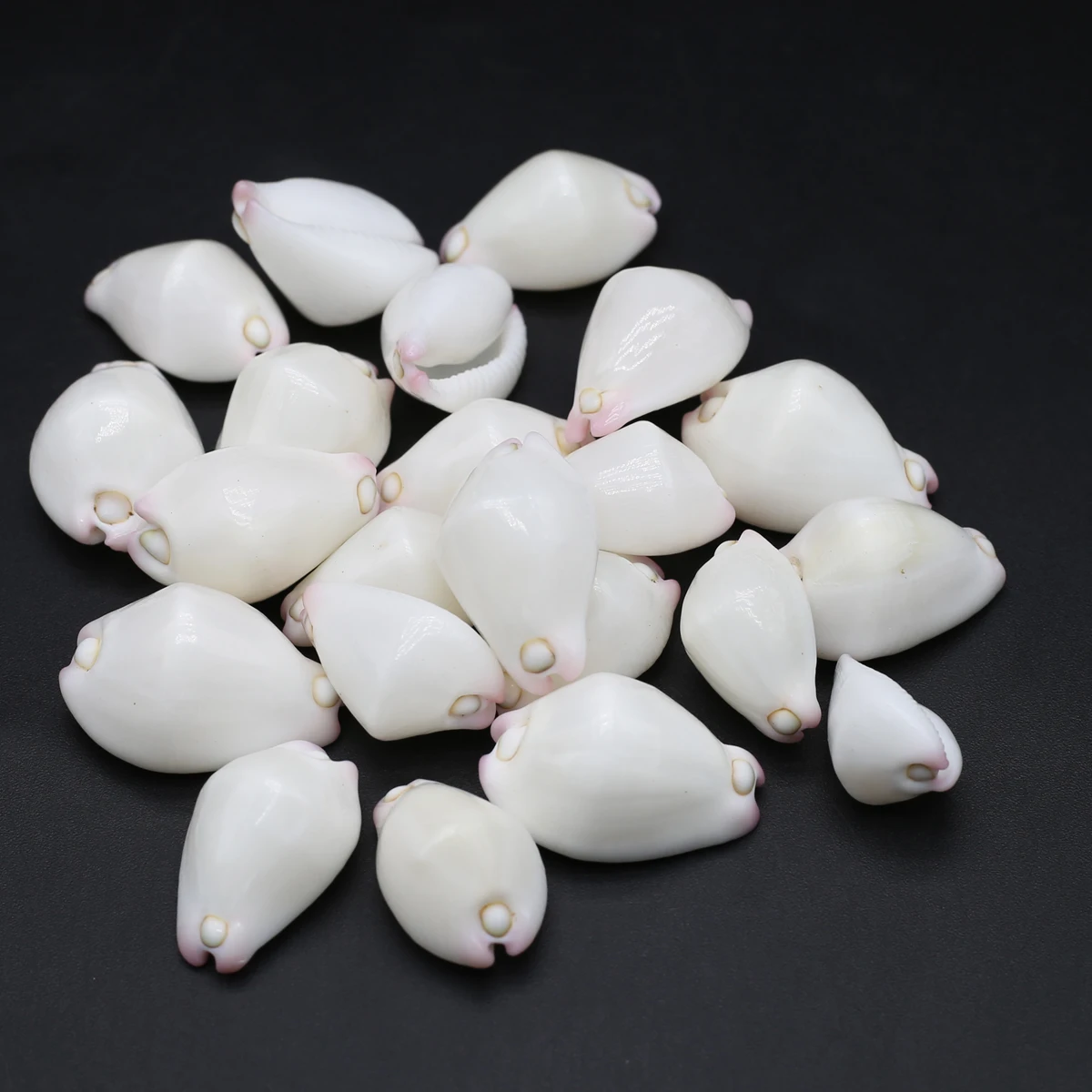 Natural Shell Beads White Rabbit Shape Sea Snail Charms for Jewelry Making Necklace Bracelet Gift Accessories Ornament
Natural Shell Beads White Rabbit Shape Sea Snail Charms for Jewelry Making Necklace Bracelet Gift Accessories Ornament