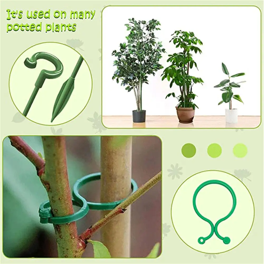15pcs Rods 10pcs Buckle Garden Bonsai Support Stake Stander Single Stem Shrub Holder Flower Potted Support Rod
15pcs Rods 10pcs Buckle Garden Bonsai Support Stake Stander Single Stem Shrub Holder Flower Potted Support Rod
