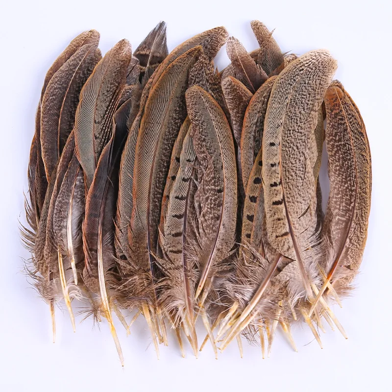 50 Pieces of Xiaoshan Cocktail Feather Pheasant Feather Natural Decorative Feather Wholesale Jewelry Accessories Crafts 
50 Pieces of Xiaoshan Cocktail Feather Pheasant Feather Natural Decorative Feather Wholesale Jewelry Accessories Crafts