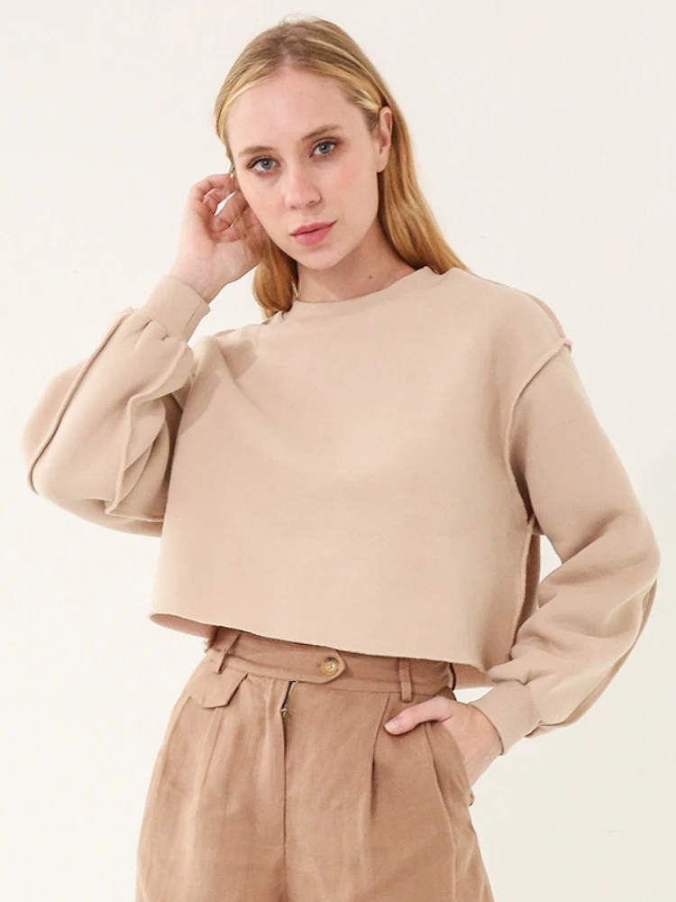 Women's Pullover Fleece Long Sleeve Sports Cropped Hoodie Fall Fashion Loose Oversized Round Neck Sweatshirt Harajuku Streetwear
Women's Pullover Fleece Long Sleeve Sports Cropped Hoodie Fall Fashion Loose Oversized Round Neck Sweatshirt Harajuku Streetwear