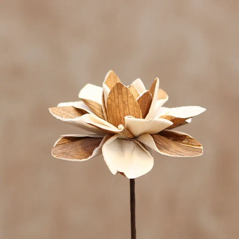 

1PCS 50cm Natural Jade Lotus Dried Preserved Flower Arrangement For Home Party Wedding Decoration