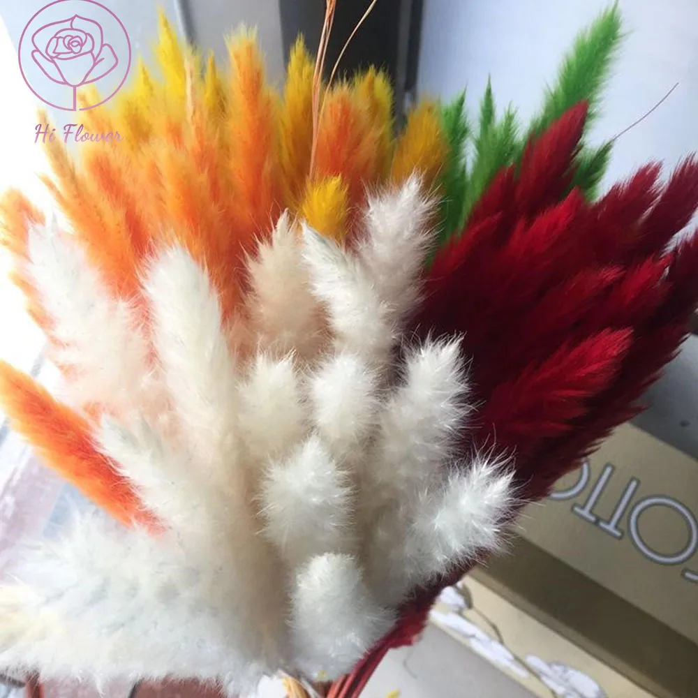 15pcs Natural Dried Small Pampas Grass Real Flowers Bouquet For Wedding Boho Home Ornament Phragmites Plant Room Decortion Items
15pcs Natural Dried Small Pampas Grass Real Flowers Bouquet For Wedding Boho Home Ornament Phragmites Plant Room Decortion Items