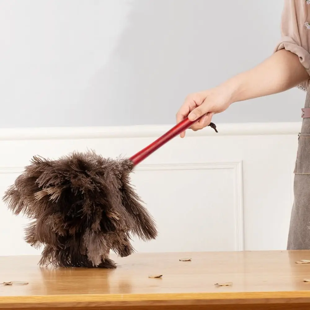 Перьевые Пылесосы с длинной ручкой 
Перьевые Пылесосы с длинной ручкой