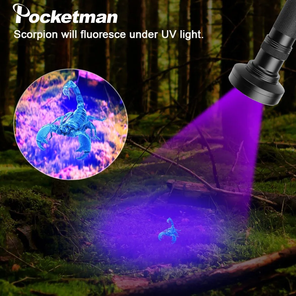 UV Flashlight Purple Light Torch100LED 51LED 21LED 12LED UV LED Flashlight UV Light 395-400nm LED Torch Lamp Safety UV Detection
UV Flashlight Purple Light Torch100LED 51LED 21LED 12LED UV LED Flashlight UV Light 395-400nm LED Torch Lamp Safety UV Detection