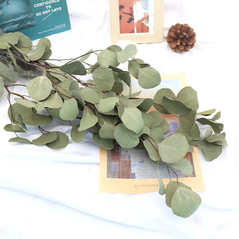 Eternal Flowers Ins Simple Dried Flowers Eucalyptus Leaves/Thin Leaves/Apple Leaves Flower Arrangement Ornaments Nordic Home
Eternal Flowers Ins Simple Dried Flowers Eucalyptus Leaves/Thin Leaves/Apple Leaves Flower Arrangement Ornaments Nordic Home