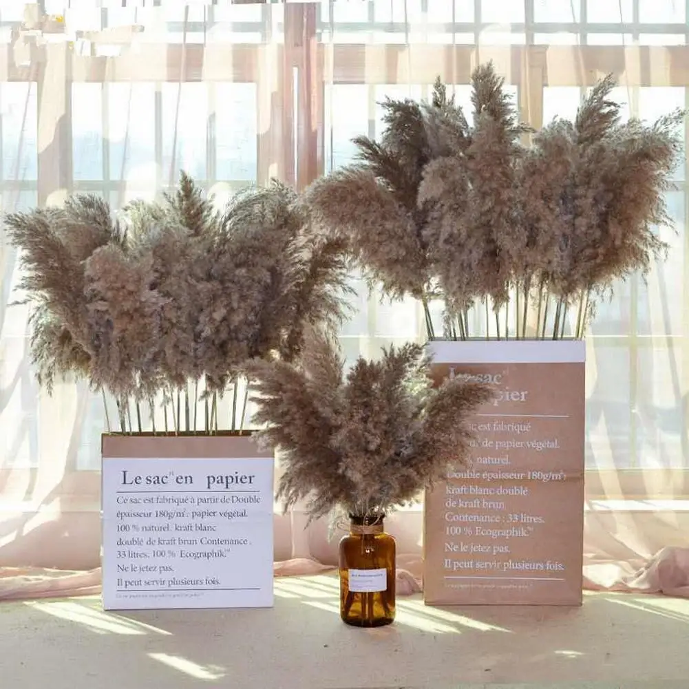 10pack Artificial Dried Pampas Grass Reed Bunch Wedding Party Flowers Aesthetic Decor Fake Dried Flowers Reed Home Ornament
10pack Artificial Dried Pampas Grass Reed Bunch Wedding Party Flowers Aesthetic Decor Fake Dried Flowers Reed Home Ornament