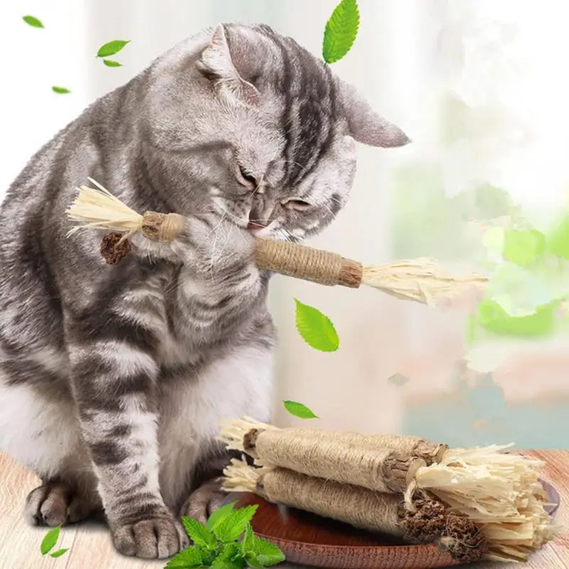 Cat Toys Silvervine Chew Stick,Kitten Treat Catnip Toy Kitty Natural Mutian Polygonum Stick Stuff With Catnip For Cleaning Teeth
Cat Toys Silvervine Chew Stick,Kitten Treat Catnip Toy Kitty Natural Mutian Polygonum Stick Stuff With Catnip For Cleaning Teeth
