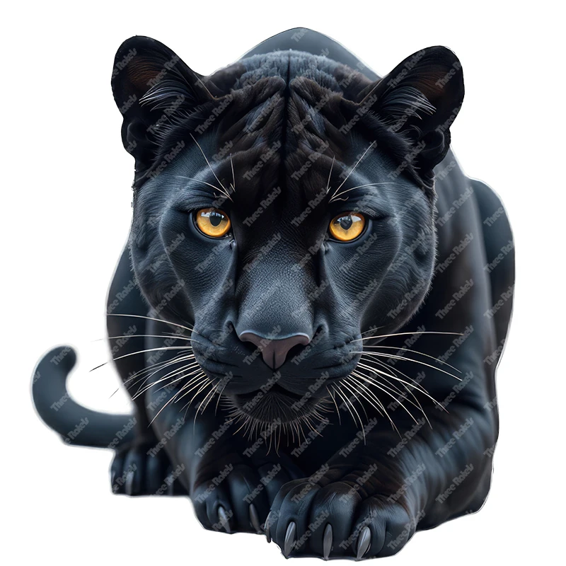 ПВХ наклейки Three Ratels CG148 черный леопард
ПВХ наклейки Three Ratels CG148 черный леопард