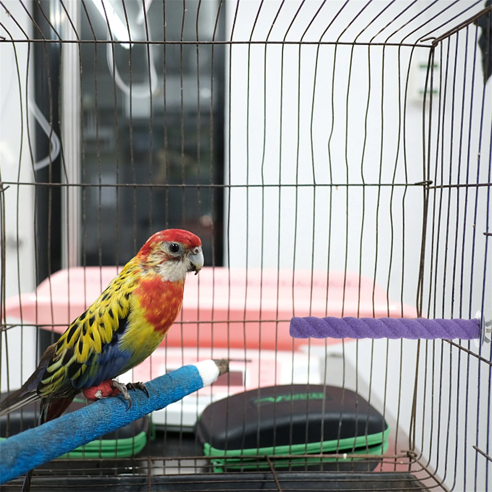 Grinding Stick Parakeet Cage Accessories Bird Perches For Cockatiels Wooden Playset Natural Cages Birdcage Toy Claw
Grinding Stick Parakeet Cage Accessories Bird Perches For Cockatiels Wooden Playset Natural Cages Birdcage Toy Claw