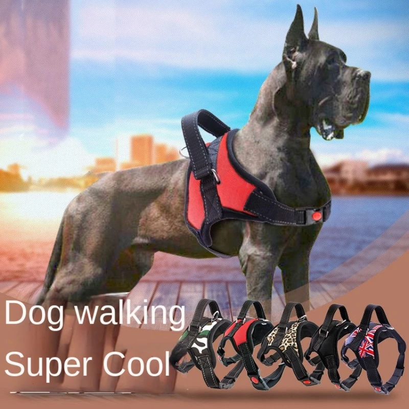 Pet Dog and Cat Adjustable Harness with Leash Reflective and Breathable for Small and Large Dog Harness Collar Vest Pet Supplies
Pet Dog and Cat Adjustable Harness with Leash Reflective and Breathable for Small and Large Dog Harness Collar Vest Pet Supplies