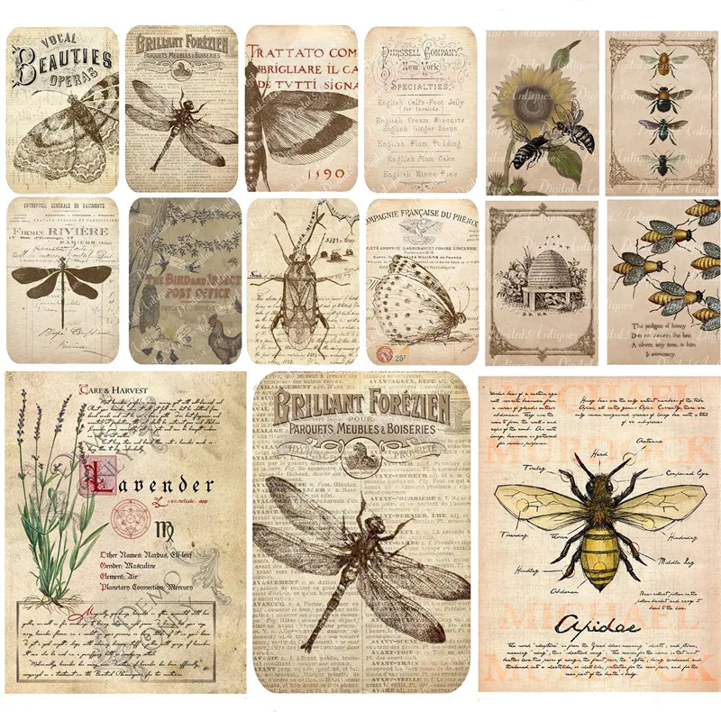 20Pcs/Pack Vintage Insect Newspaper Sticker DIY Craft Scrapbooking Album Junk Journal Decorative Stickers
20Pcs/Pack Vintage Insect Newspaper Sticker DIY Craft Scrapbooking Album Junk Journal Decorative Stickers