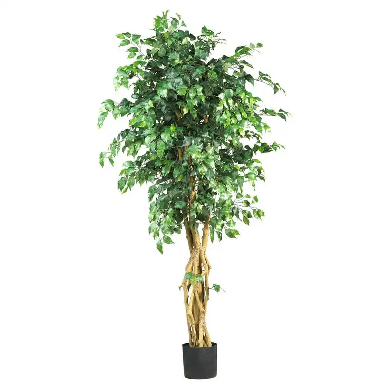 Style Ficus Silk Tree - Green Angela flowers official store Cottagecore decorations Babys breath White artificial flowers Pampas
Style Ficus Silk Tree - Green Angela flowers official store Cottagecore decorations Babys breath White artificial flowers Pampas