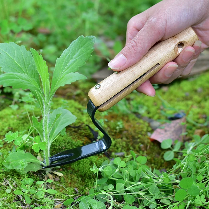 2023 New Weeding Artifact Uprooting Weeding Tool, Stainless Forged Weed Puller 2 Teeth Dual Purpose Weeder Seedling fork
2023 New Weeding Artifact Uprooting Weeding Tool, Stainless Forged Weed Puller 2 Teeth Dual Purpose Weeder Seedling fork
