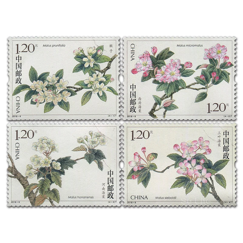 2018-6, цветок Бегонии. Почтовые штампы. 4 шт. Philately, почтовые расходы, коллекция
2018-6, цветок Бегонии. Почтовые штампы. 4 шт. Philately, почтовые расходы, коллекция