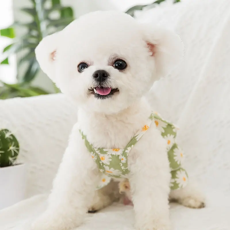 Spring/summer 2022 York Xia Xiaozhong Large Dog Clothes Cute Dog Legs Garment Skirt Siamese Cats and Dogs
Spring/summer 2022 York Xia Xiaozhong Large Dog Clothes Cute Dog Legs Garment Skirt Siamese Cats and Dogs