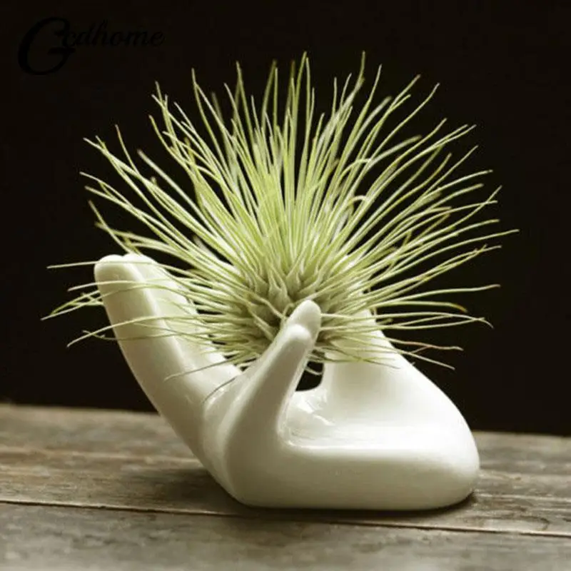 Белый фарфор керамический воздушный завод Tillandsia держатель цветок офисный стол Декор шикарное украшение для дома садовые украшения
Белый фарфор керамический воздушный завод Tillandsia держатель цветок офисный стол Декор шикарное украшение для дома садовые украшения