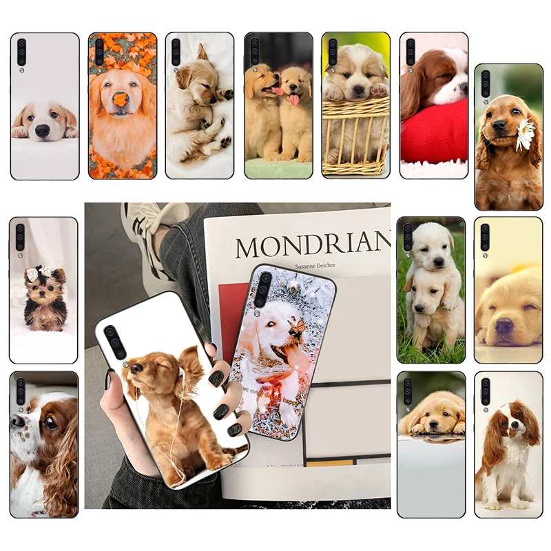 Cute Puppy Dog Puppies Phone Case For Samsung Galaxy A13 A03 A12 A32 A71 A11 A21S A02 A52 A72 A51 A50 A70 A31 M31
Cute Puppy Dog Puppies Phone Case For Samsung Galaxy A13 A03 A12 A32 A71 A11 A21S A02 A52 A72 A51 A50 A70 A31 M31