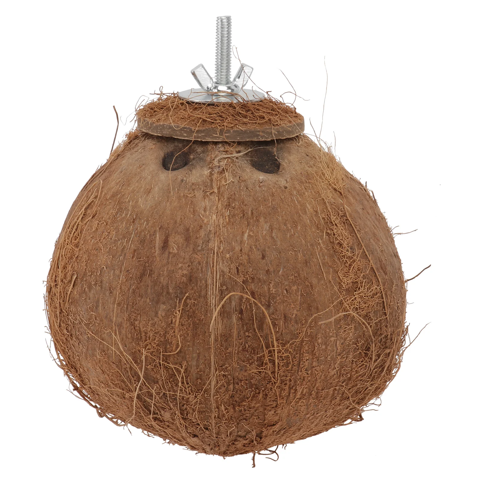 Coconut Shell Bird Nest Bird Hide Gecko Small Animal Cave Stainless Steel Hanging Bird Cage
Coconut Shell Bird Nest Bird Hide Gecko Small Animal Cave Stainless Steel Hanging Bird Cage
