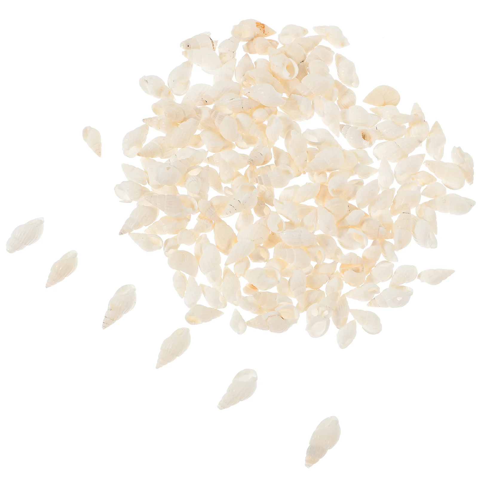 200 Pcs Crafts Conch Shell Mini Ornaments Natural Coral Sea Snail Exquisite Adorn 
200 Pcs Crafts Conch Shell Mini Ornaments Natural Coral Sea Snail Exquisite Adorn