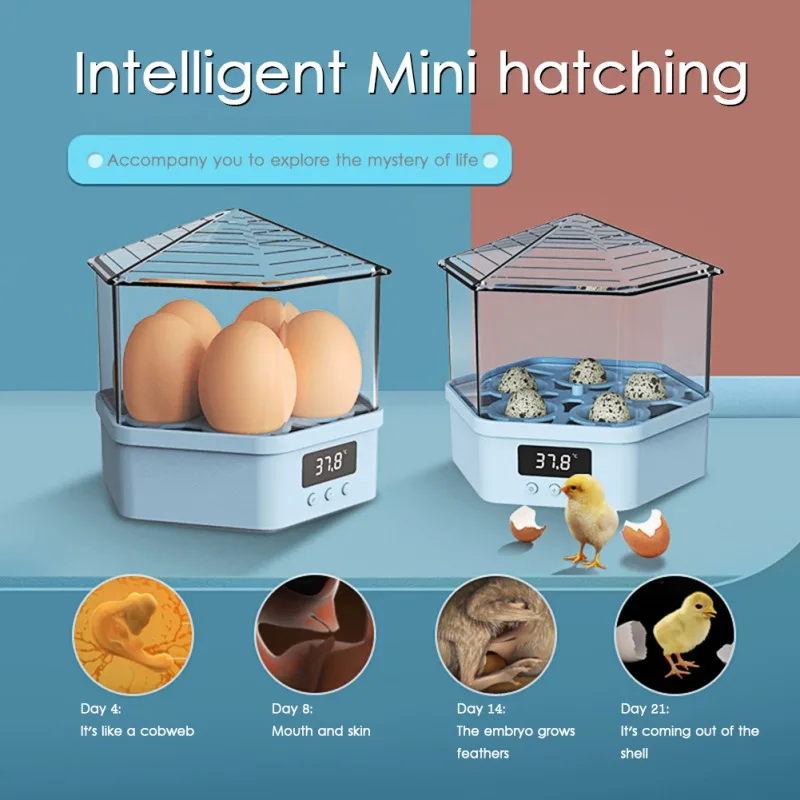 Mini 4/5 Egg Incubator Constant Temperature Chicken Brooder Intelligent Fully Automatic Hens Hatch Tray Machine Bird Ducks Geese
Mini 4/5 Egg Incubator Constant Temperature Chicken Brooder Intelligent Fully Automatic Hens Hatch Tray Machine Bird Ducks Geese