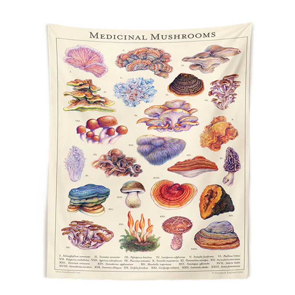 Quotes Mushroom Tapestry Wall Decor Mycology Mushroom Champignon Identification Chart Diagram Illustration Wall Art Boho Decor 1
Quotes Mushroom Tapestry Wall Decor Mycology Mushroom Champignon Identification Chart Diagram Illustration Wall Art Boho Decor 1