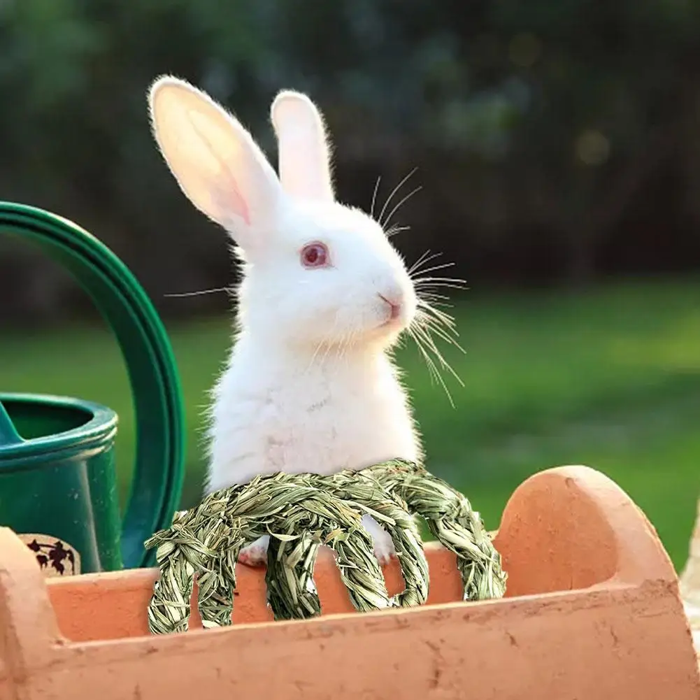 Pet Teeth Grinding Toys Hamster Hand Woven Aquatic Plants Natural Small Animal Chew Toys Guinea Pig Hamster Rabbit Accessories
Pet Teeth Grinding Toys Hamster Hand Woven Aquatic Plants Natural Small Animal Chew Toys Guinea Pig Hamster Rabbit Accessories