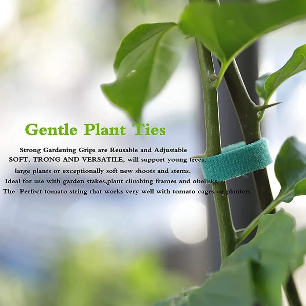 1 Roll Convenient Twist Ribbon Multi-use Reusable Tie Ribbon Waterproof Cuttable Ribbon Strap for Garden Twist Strap
1 Roll Convenient Twist Ribbon Multi-use Reusable Tie Ribbon Waterproof Cuttable Ribbon Strap for Garden Twist Strap