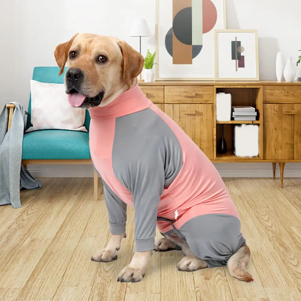 Free Recovery Allergy Licking Pet Soft Pet Prevent High Elasticity Accelerate Suit Jumpsuit Clothing Convenient Comfortable
Free Recovery Allergy Licking Pet Soft Pet Prevent High Elasticity Accelerate Suit Jumpsuit Clothing Convenient Comfortable