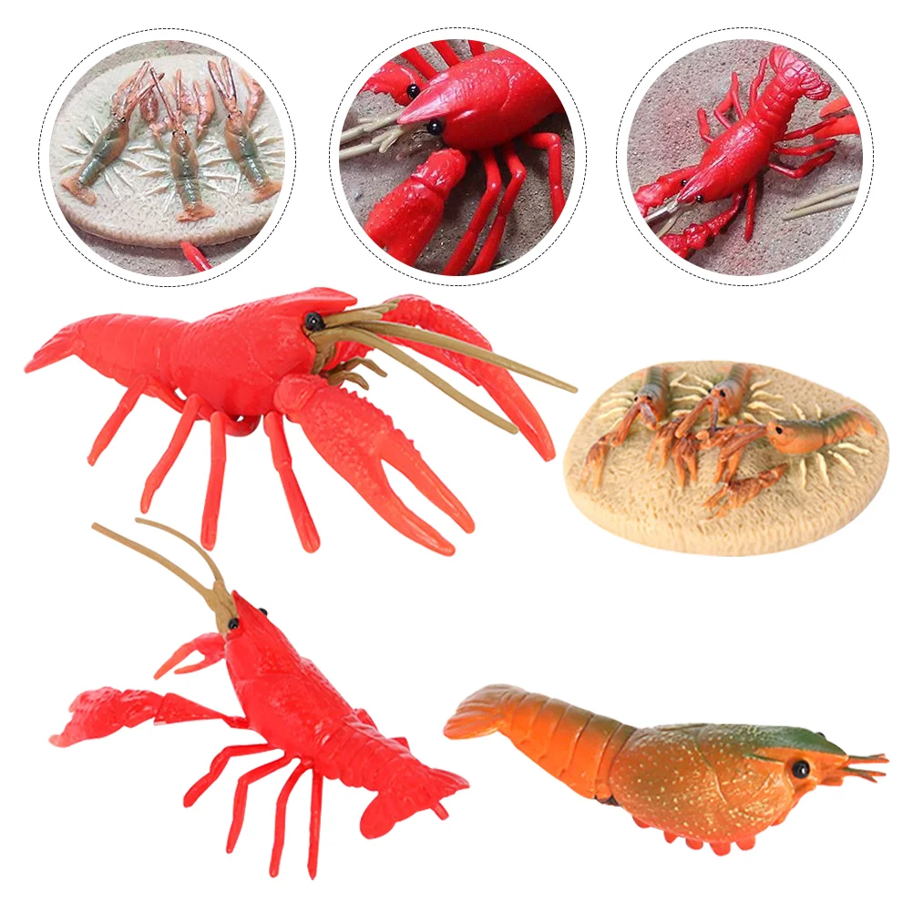 Crayfishcycle Modelsmodel Kids Simulation Growing Animal Evolution Vivid Life Simulated Animals Lobsterling Figurine
Crayfishcycle Modelsmodel Kids Simulation Growing Animal Evolution Vivid Life Simulated Animals Lobsterling Figurine