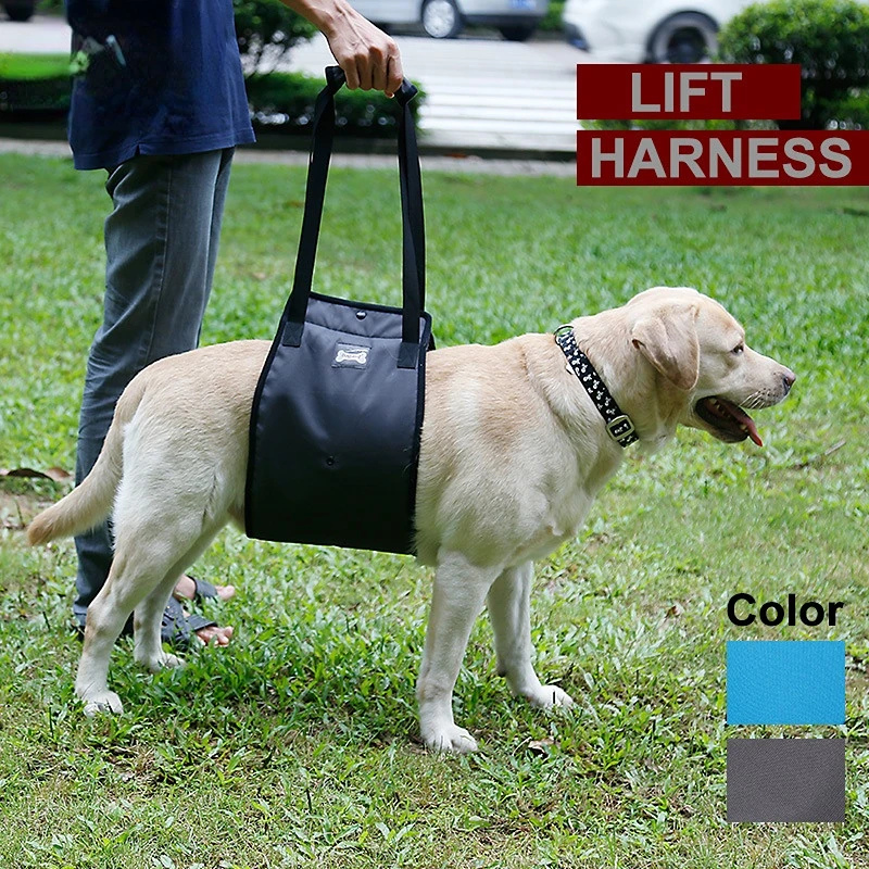 Assistance Dog Harness Dog Leg Injury Protection Pet Walking Aid Widened Breathable Aid Walking Supplies for Dogs
Assistance Dog Harness Dog Leg Injury Protection Pet Walking Aid Widened Breathable Aid Walking Supplies for Dogs