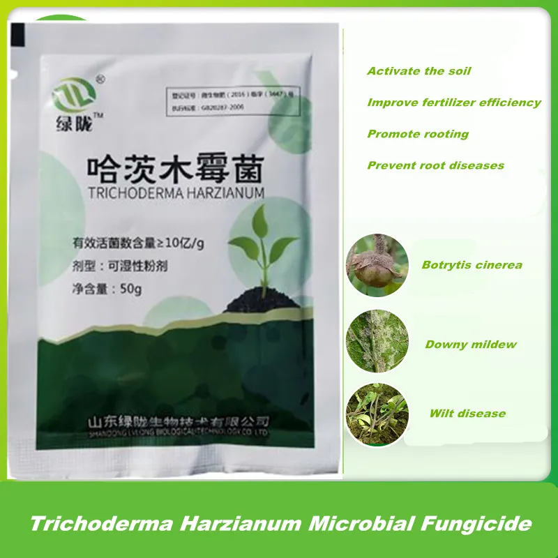 50 г, грибки Trichoderma Harzianum Trichoderma для более здорового управления корнями, растворимый фиксированный фосфат в почве, доступное растение
50 г, грибки Trichoderma Harzianum Trichoderma для более здорового управления корнями, растворимый фиксированный фосфат в почве, доступное растение
