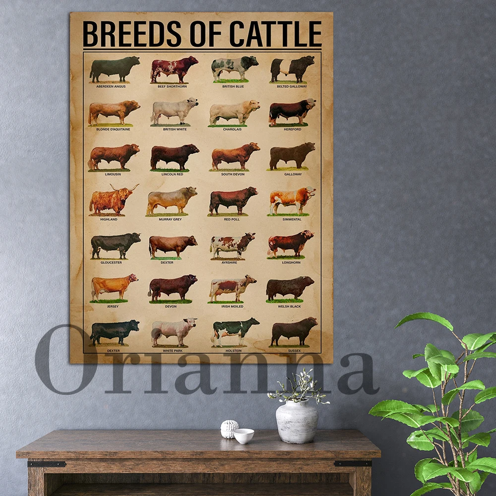 Breeds Of Cattle Knowledge Poster And Prints On Canvas Wall Art Picture For Living Room Cuadros Home Decor Gift
Breeds Of Cattle Knowledge Poster And Prints On Canvas Wall Art Picture For Living Room Cuadros Home Decor Gift