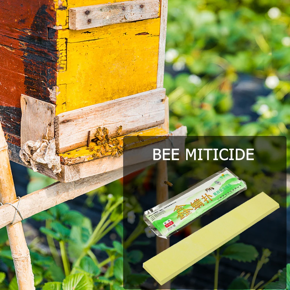 20pcs Practical luvalinate Bee Mite Strips Anti Insect Pest Instant Mite Killer Miticide HouseFarm Accessaries Supplies Tools
20pcs Practical luvalinate Bee Mite Strips Anti Insect Pest Instant Mite Killer Miticide HouseFarm Accessaries Supplies Tools
