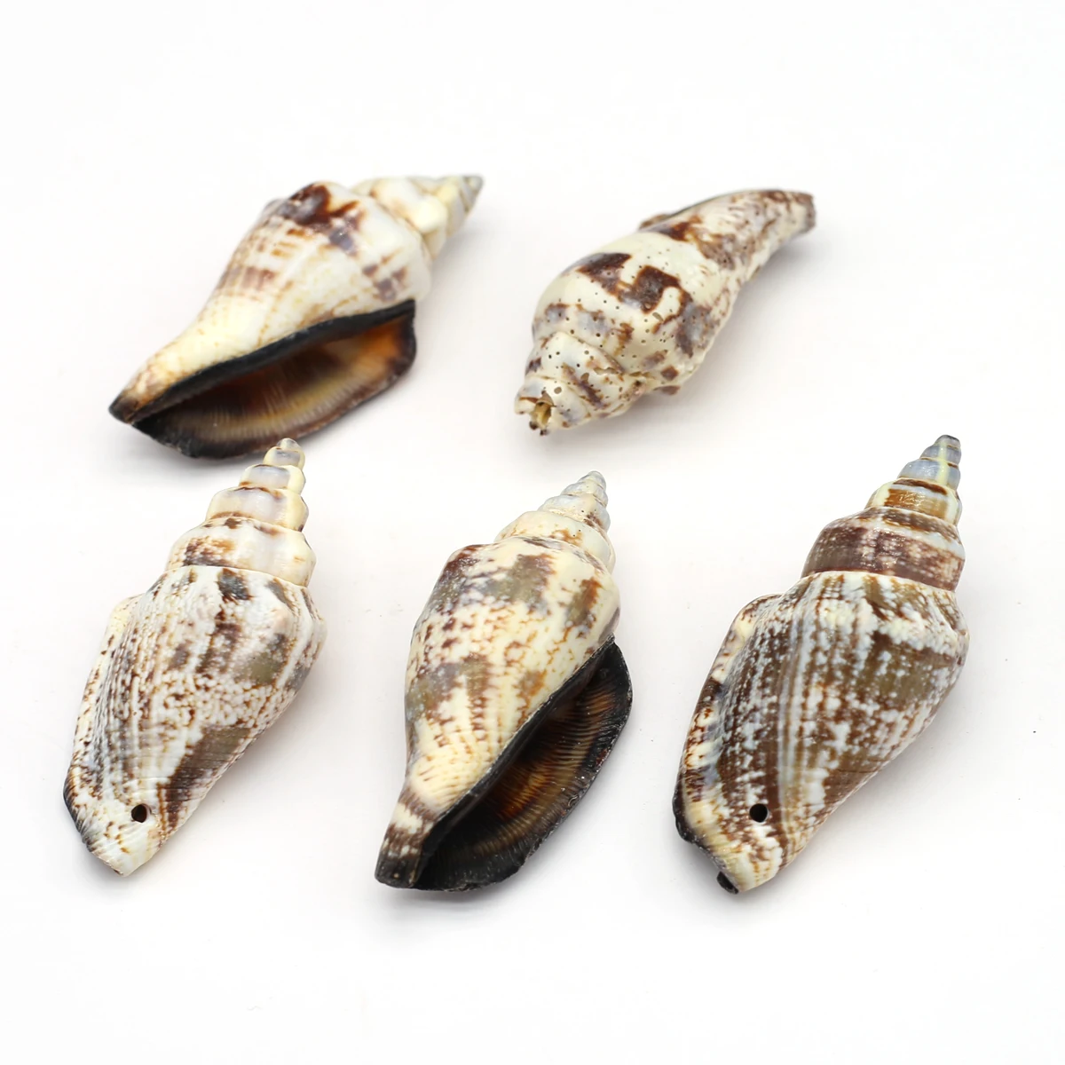 Pendant Natural Spiral Sea Shell Conch Beach Craft DIY Marine Style Fish Tank Landscaping Decoration Jewelry Making Necklace
Pendant Natural Spiral Sea Shell Conch Beach Craft DIY Marine Style Fish Tank Landscaping Decoration Jewelry Making Necklace