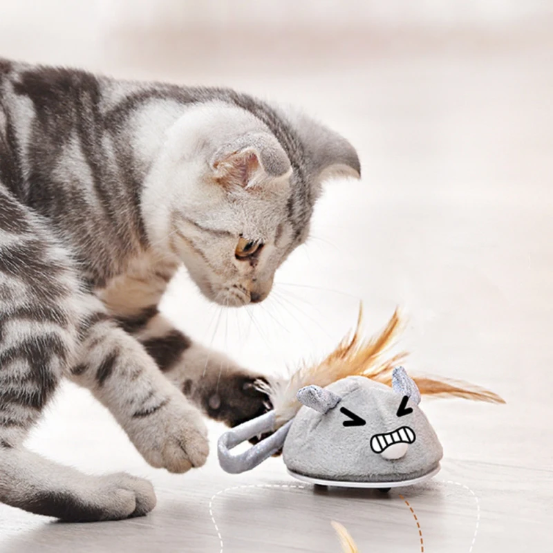 Interactive Cat Toys Electric Usb Rechargeable Mouse Toy Rotating Indoor Teaser Selfplay Toys for Kitten Cat Pet Supplies
Interactive Cat Toys Electric Usb Rechargeable Mouse Toy Rotating Indoor Teaser Selfplay Toys for Kitten Cat Pet Supplies