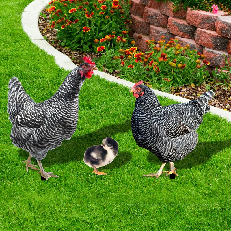Chicken Decorations Garden Decor Backyard Garden Poultry Statue 3pcs Yards Decor Lawn Sign Chicken Stake Acrylic Yard Ornament
Chicken Decorations Garden Decor Backyard Garden Poultry Statue 3pcs Yards Decor Lawn Sign Chicken Stake Acrylic Yard Ornament