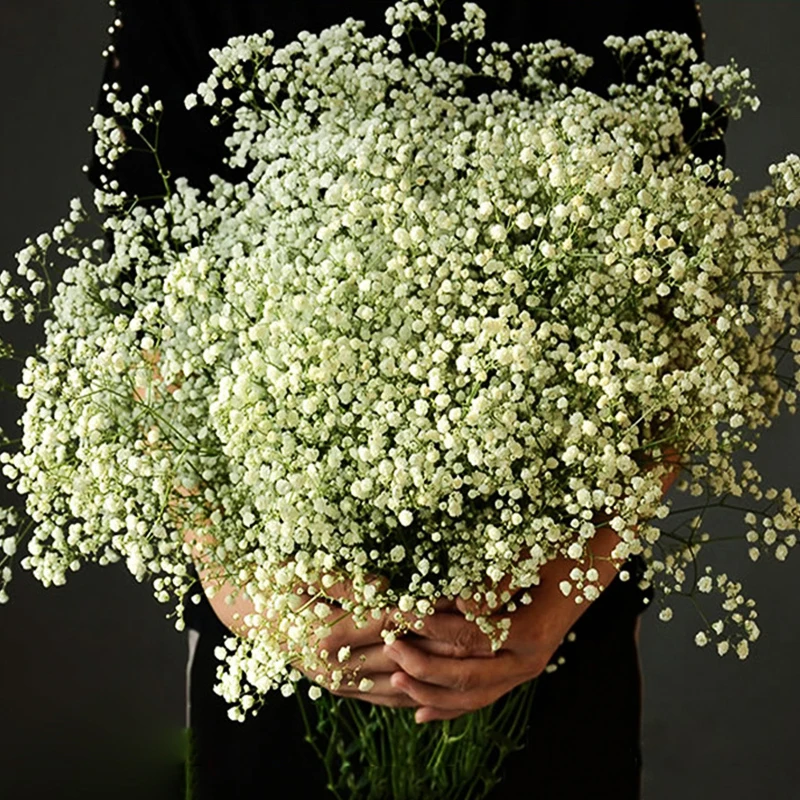 1/2/3 букет искусственных цветов Babysbreath, пластиковые Гипсофилы, Цветочные букеты «сделай сам», искусственные цветы, свадебный букет, украшени...
1/2/3 букет искусственных цветов Babysbreath, пластиковые Гипсофилы, Цветочные букеты «сделай сам», искусственные цветы, свадебный букет, украшени...