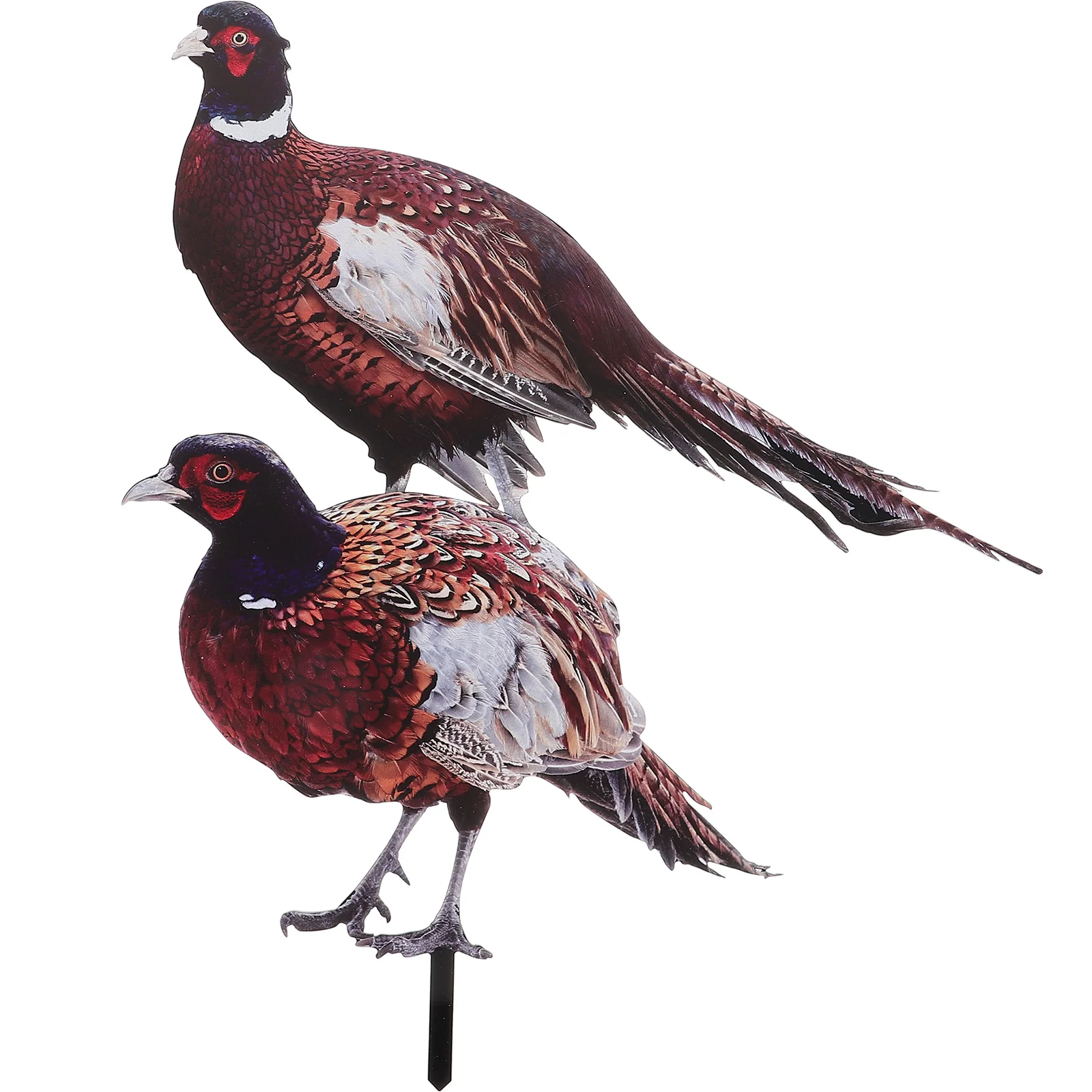 2 Pcs Pheasant Garden Decoration Yards Decorative Stake Accessories Sign Acrylic 
2 Pcs Pheasant Garden Decoration Yards Decorative Stake Accessories Sign Acrylic