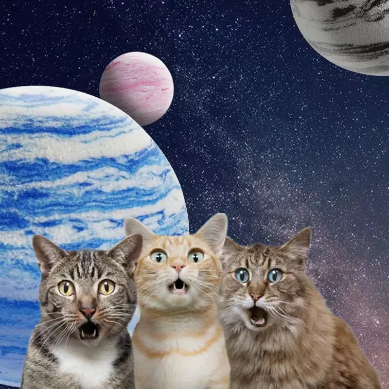 3/6/9Pcs Pet Bounce Starry Space Balls For Dog Cat Training Chewing Playing Games Funny Kitten Toys Supplies 2022 New
3/6/9Pcs Pet Bounce Starry Space Balls For Dog Cat Training Chewing Playing Games Funny Kitten Toys Supplies 2022 New