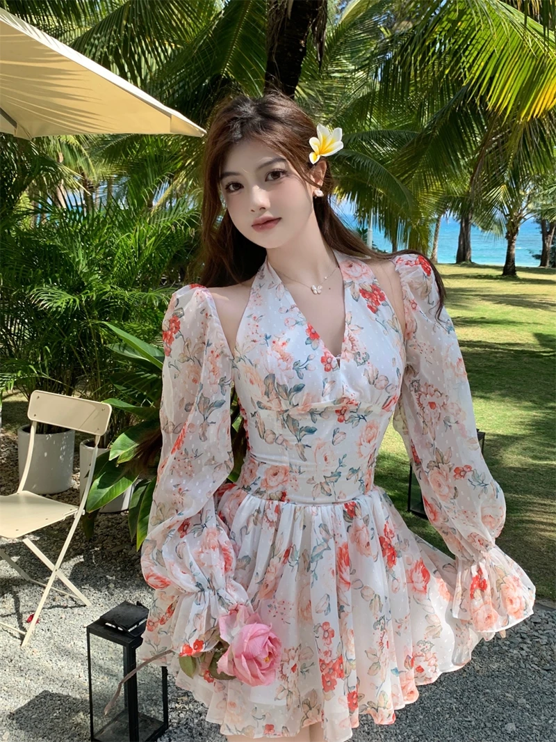 Женская шифоновая юбка-пачка с V-образным вырезом и длинным рукавом 
Женская шифоновая юбка-пачка с V-образным вырезом и длинным рукавом